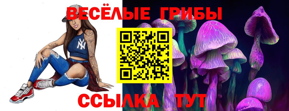 купить наркоту  Вход с VPN  Похвистнево  Псилоцибиновые грибы прущие грибы 